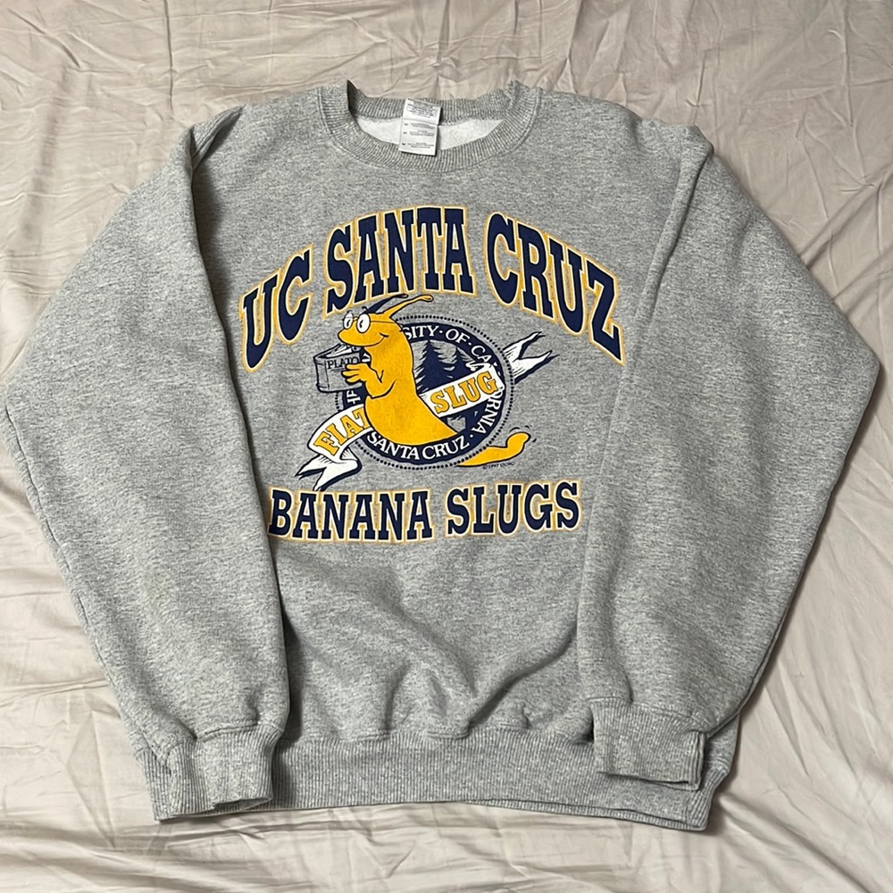 UCSC Sweatshirt✨